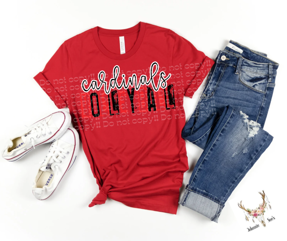 Team Spirit: Cardinals Volleyball