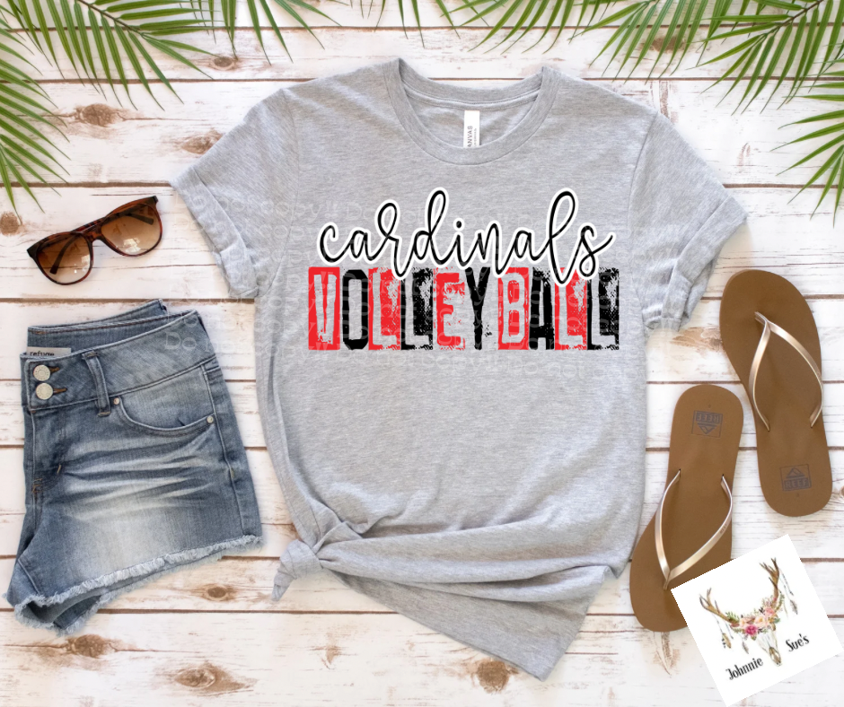 Team Spirit: Cardinals Volleyball