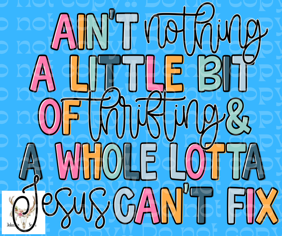 PreOrder: Ain’t Nothing A Little Bit Of Thrifting & A Whole Lotta Jesus Can’t Fix