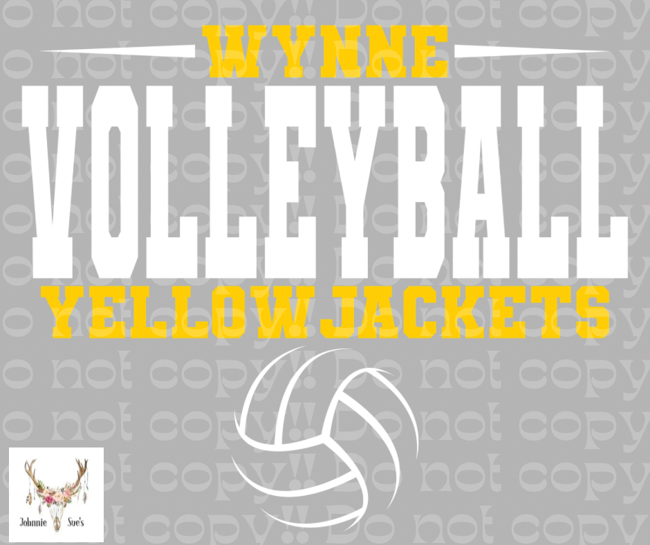 Team Spirit: Wynne Volleyball