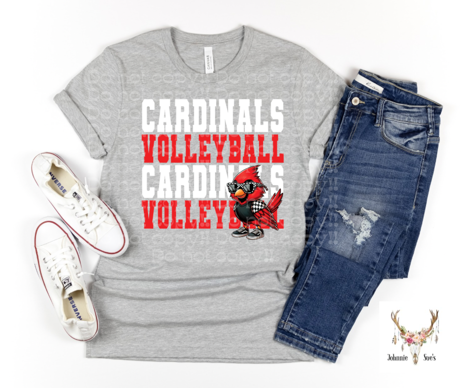 Team Spirit: Cardinals Volleyball