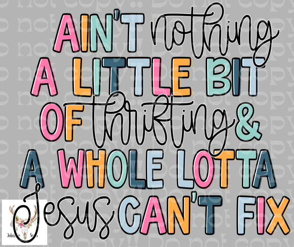 PreOrder: Ain’t Nothing A Little Bit Of Thrifting & A Whole Lotta Jesus Can’t Fix