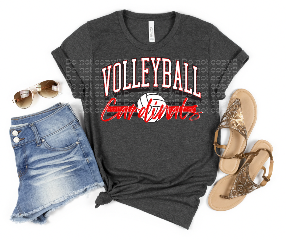 Team Spirit: Volleyball - Cardinals