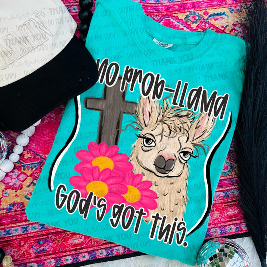 PreOrder: No prob-llama