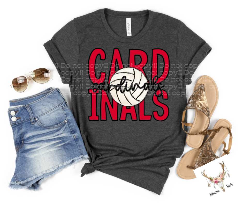 Team Spirit: Cardinals Volleyball