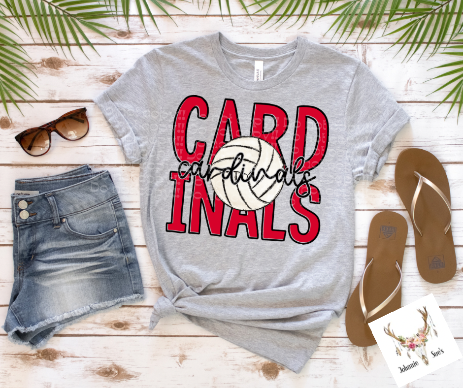 Team Spirit: Cardinals Volleyball