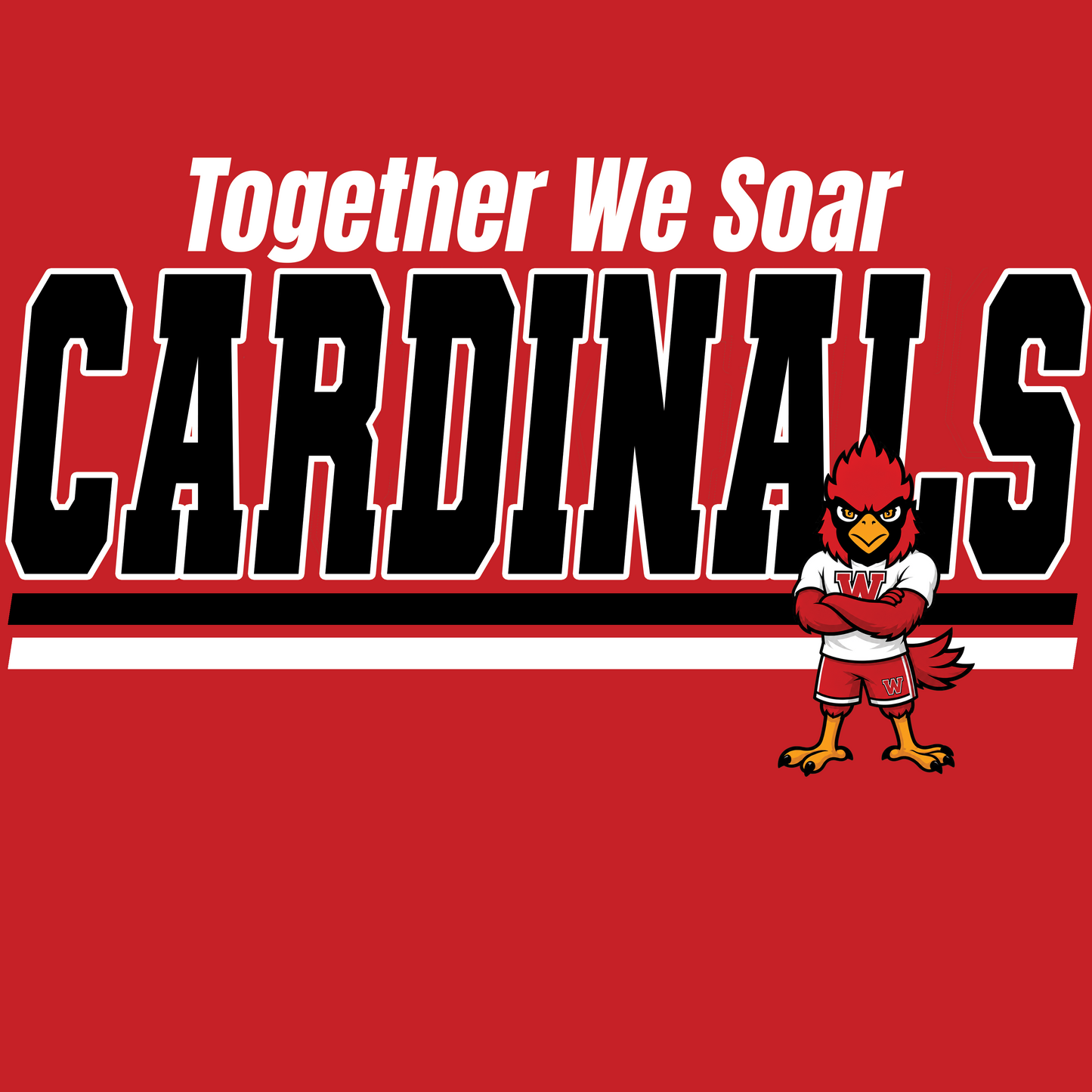 PreOrder: Together We Soar