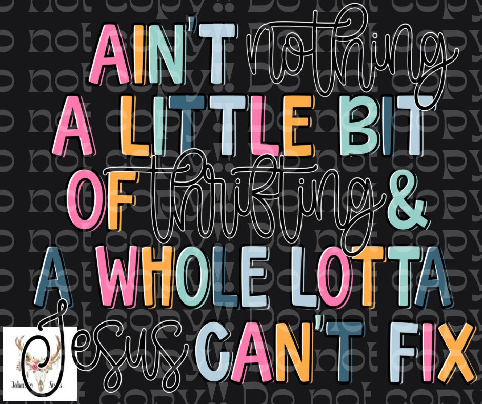 PreOrder: Ain’t Nothing A Little Bit Of Thrifting & A Whole Lotta Jesus Can’t Fix