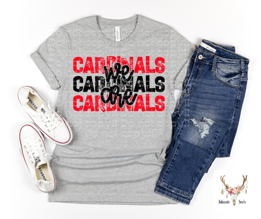 Team Spirit: We Are Cardinals