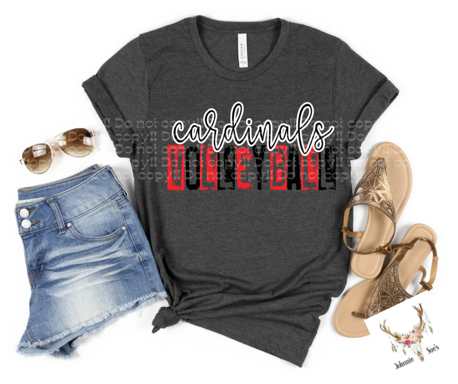 Team Spirit: Cardinals Volleyball