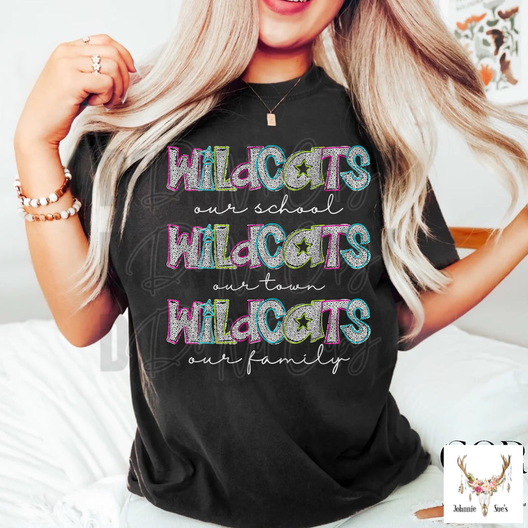 PreOrder: Wildcats Our School, Our Town, Our Family