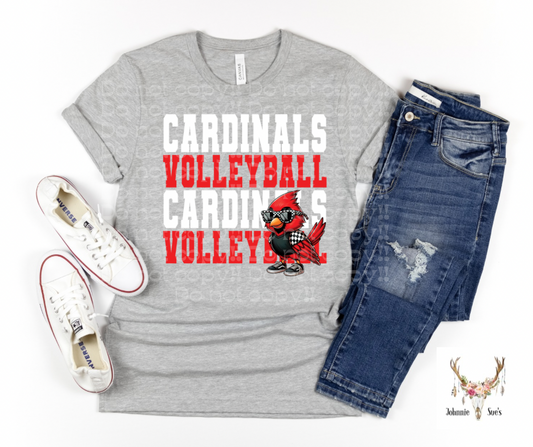 Team Spirit: Cardinals Volleyball